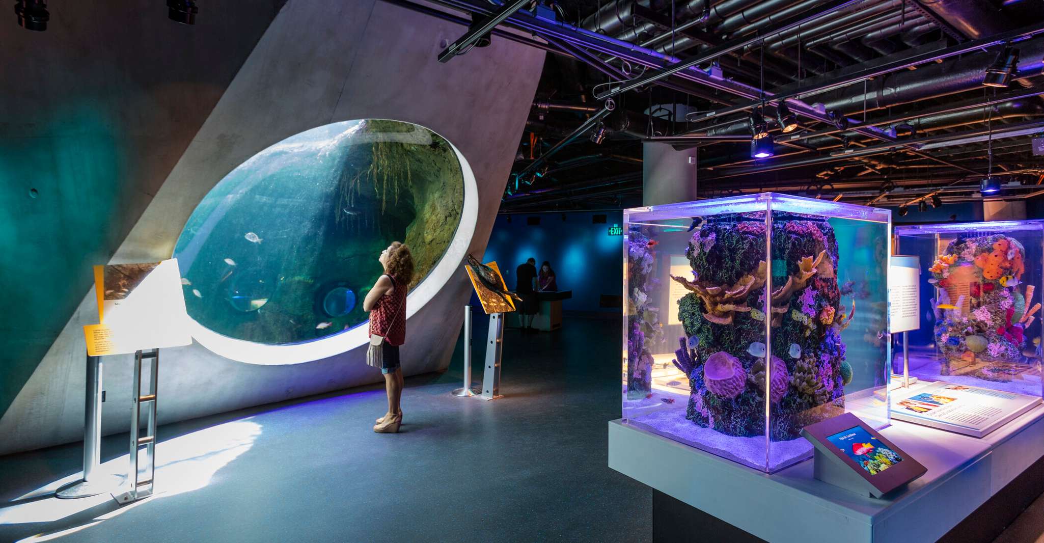 Miami: Frost Museum of Science and Planetarium Entry Ticket photo 6