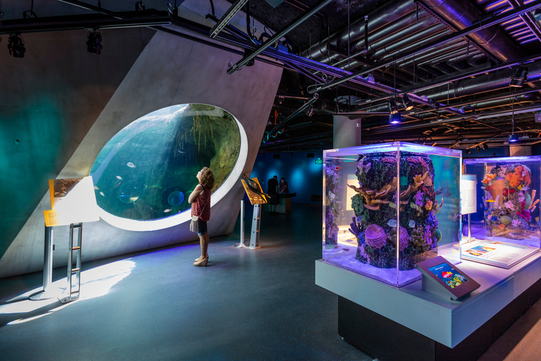 Miami: Biglietto d&#039;ingresso per il Frost Museum of Science and Planetarium