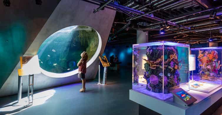 Miami: Frost Museum of Science and Planetarium Entry Ticket photo 6