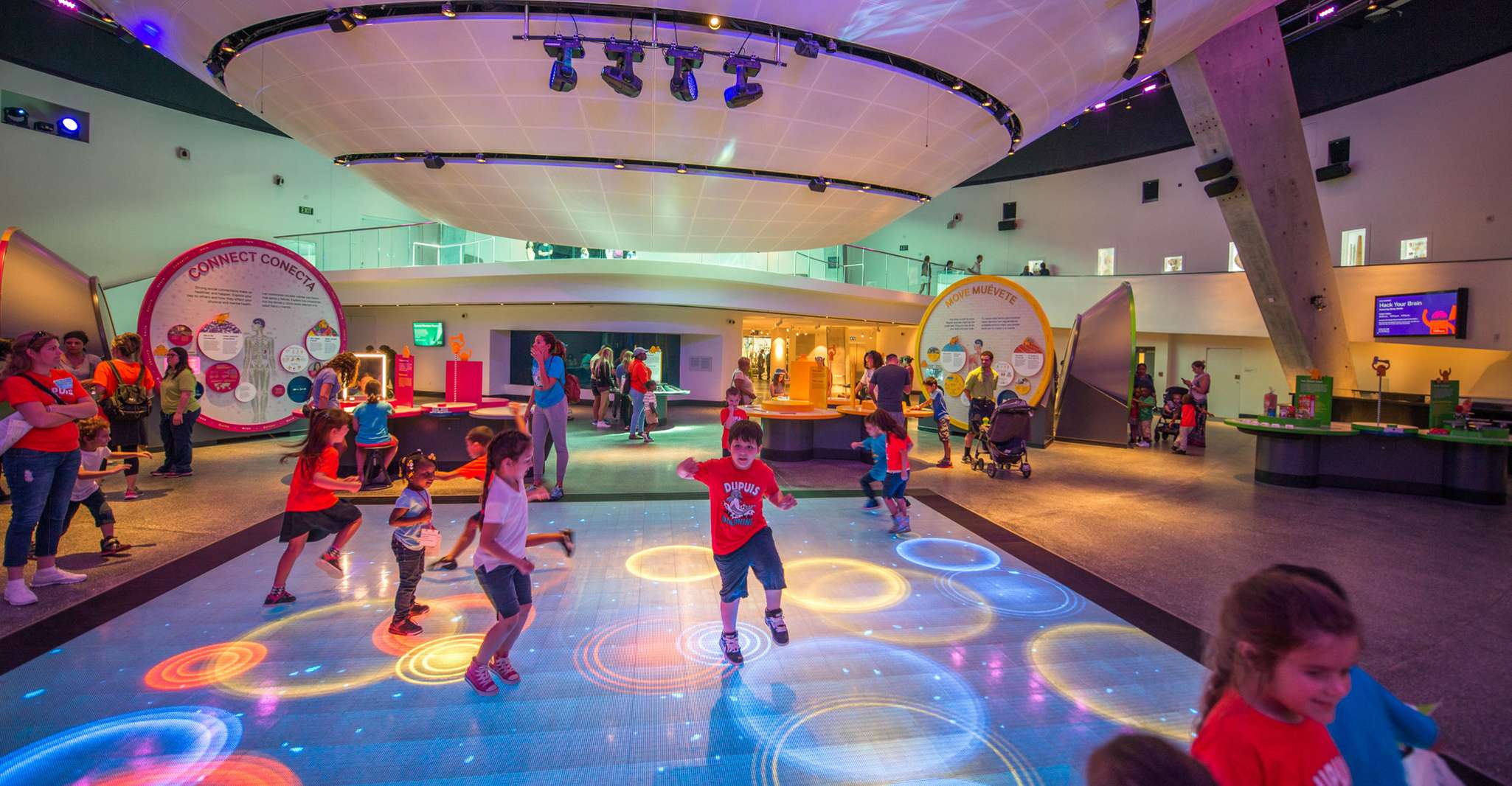 Miami: Frost Museum of Science and Planetarium Entry Ticket photo 4