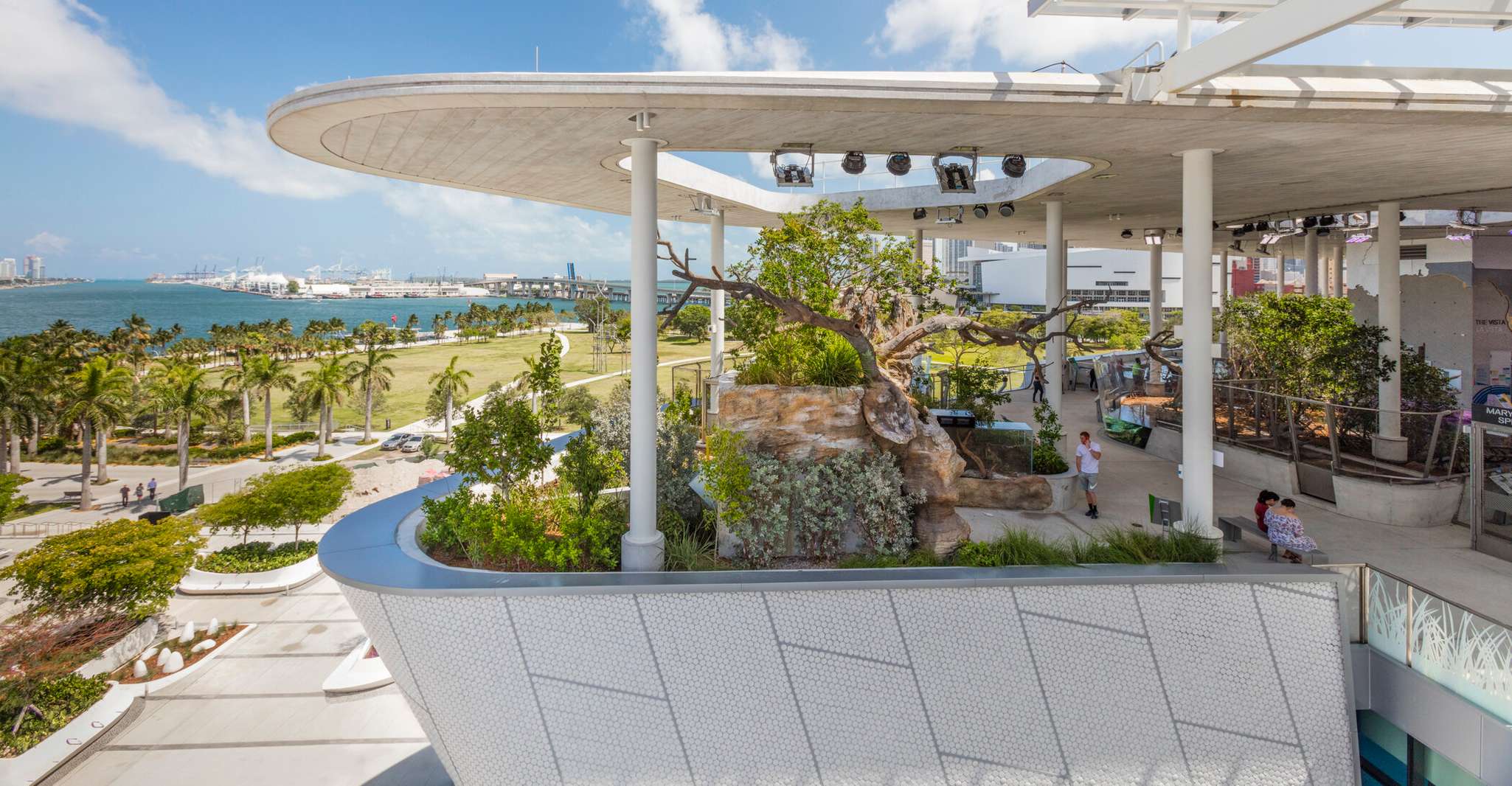 Miami: Frost Museum of Science and Planetarium Entry Ticket photo 18