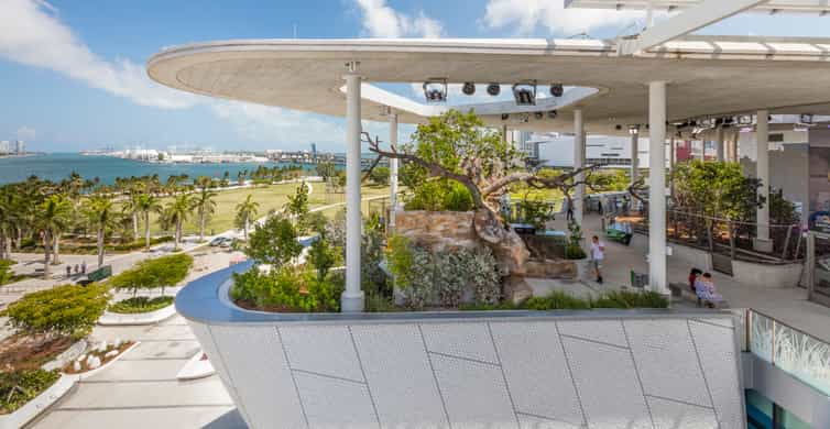 Miami: Frost Museum of Science and Planetarium Entry Ticket photo 18