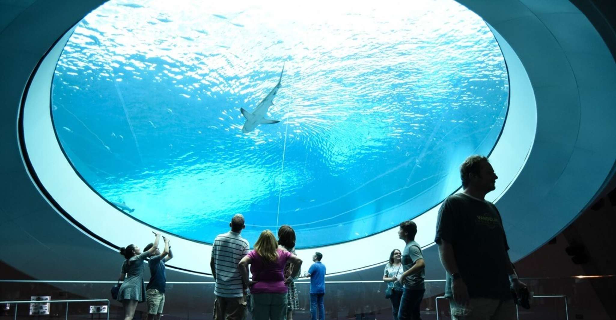 Miami: Frost Museum of Science and Planetarium Entry Ticket photo 7