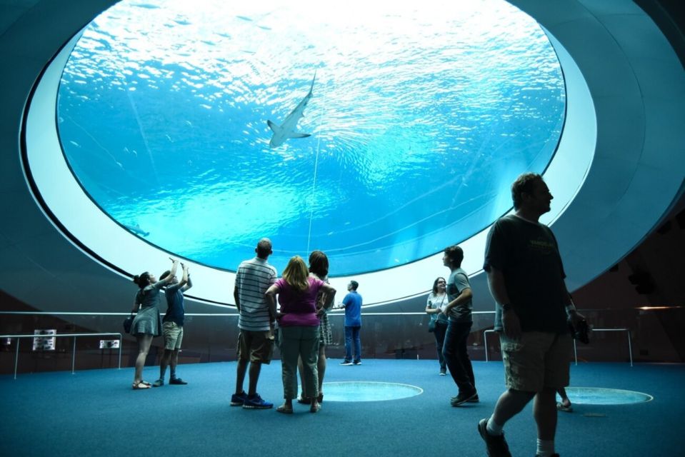 Miami Aquarium - Frost Science