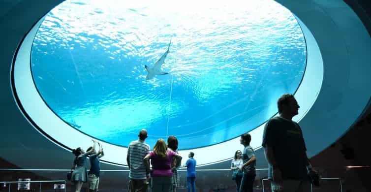 Miami: Frost Museum of Science and Planetarium Entry Ticket photo 7