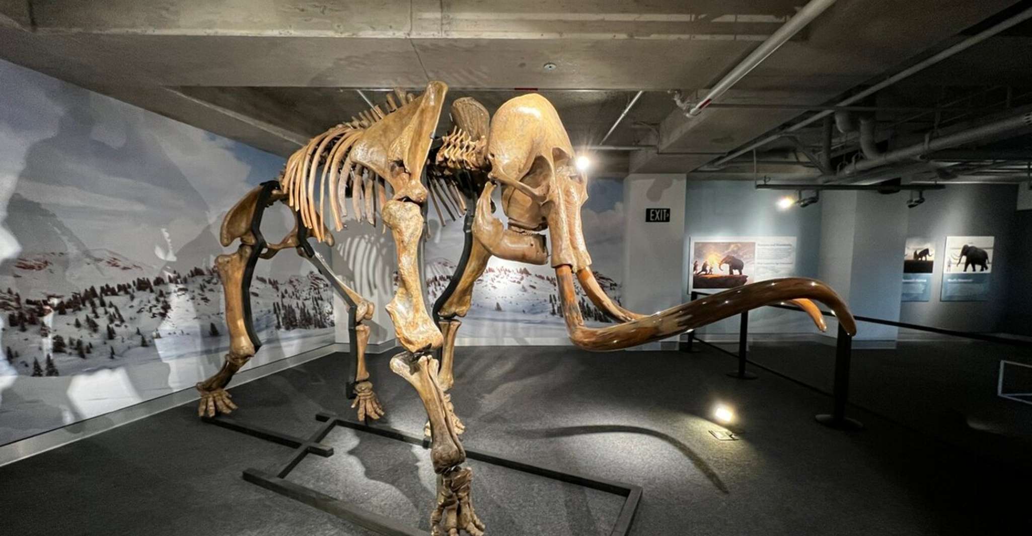 Miami: Frost Museum of Science and Planetarium Entry Ticket photo 8