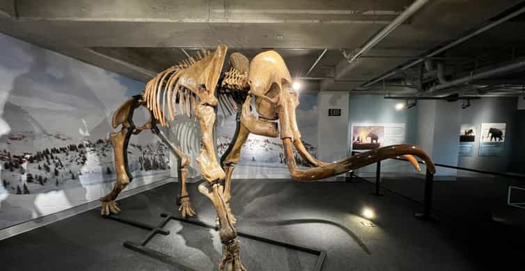 Miami: Frost Museum of Science and Planetarium Entry Ticket photo 8