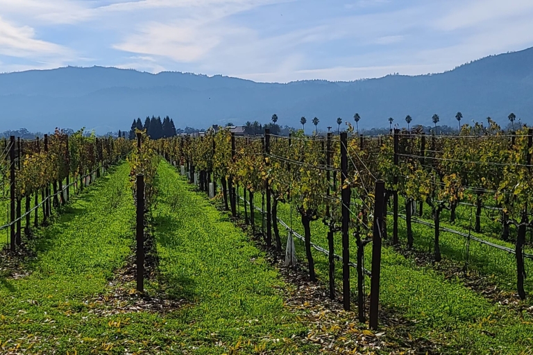 Von San Francisco aus: Napa und Sonoma Private Weintour