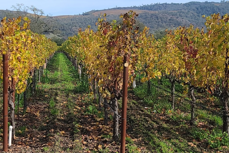 Desde San Francisco: Ruta Privada del Vino por Napa y Sonoma