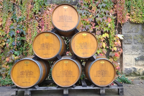 Vanuit San Francisco: Napa en Sonoma Private Wine Tour