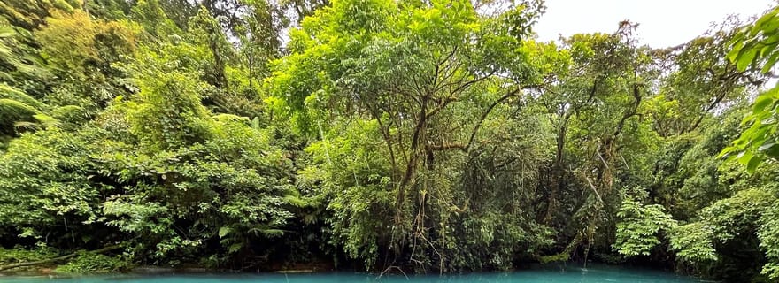 Rio Celeste : forêt tropicale, paresseux et faune sauvage.