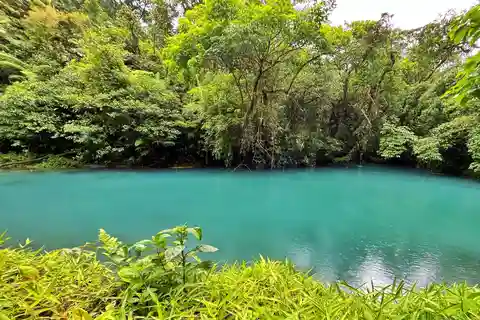 Sloth Tour och regnskogsvandring för att se Rio Celeste vattenfall