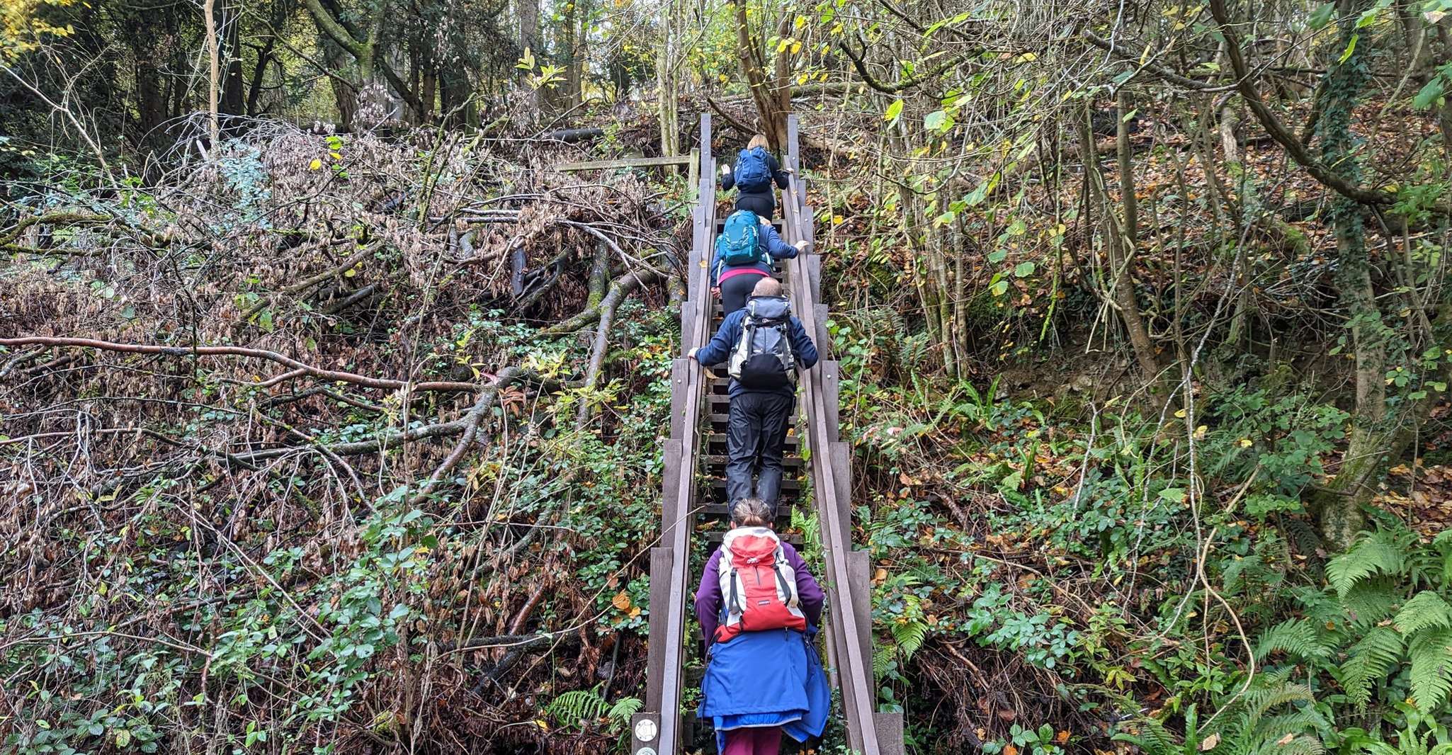 Passeio guiado de Riverside A partir de Cardiff King Arthur's Wye Valley - Hizvo
