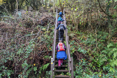 Caminhada guiada privada: Passeio pelo Vale de Wye do Rei Artur