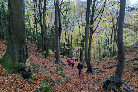 Caminhada guiada privada: Passeio pelo Vale de Wye do Rei Artur