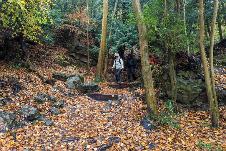 Caminhada guiada privada: Passeio pelo Vale de Wye do Rei Artur