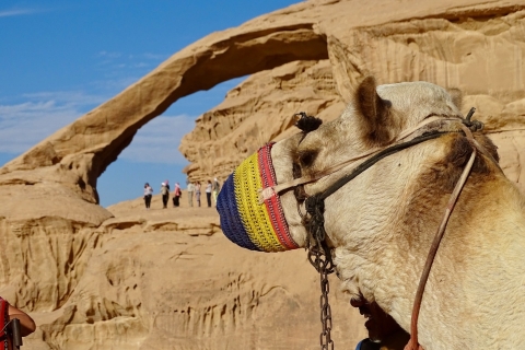 Z Tel Awiwu: Petra i Wadi Rum 2-dniowa wycieczka autobusowaPierwsza klasa - marsjański namiot bąbelkowy