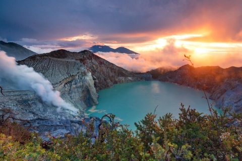 Van Yogyakarta: Bromo en Ijen-vulkaan met de trein