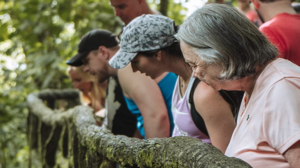 La Fortuna Halbt Gige Wanderung Zu Den H Ngebr Cken Von Arenal