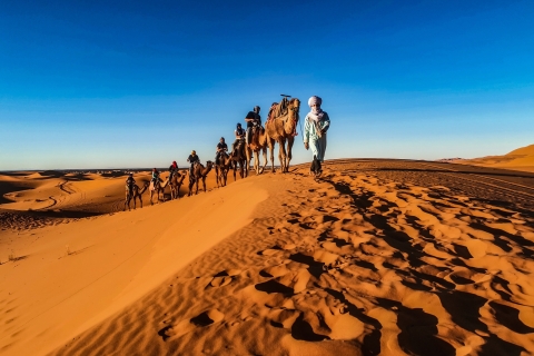 Doha Desert Tour|Sandboarding|Dune Bashing|Inland Sea Visit