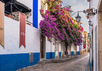 Obidos, caccia al tesoro autoguidato e tour turistico - Housity