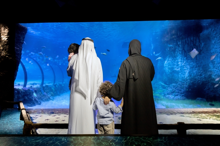 Grande mosquée d'Abu Dhabi, musée du Louvre et aquarium nationalVisite privée de Dubaï dans la langue choisie