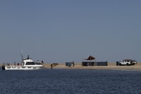 Desde Walvis Bay, Namibian Coast Day Cruise con almuerzo - Hizvo