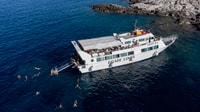 From Trapani, Favignana and Levanzo Sightseeing Cruise - Housity
