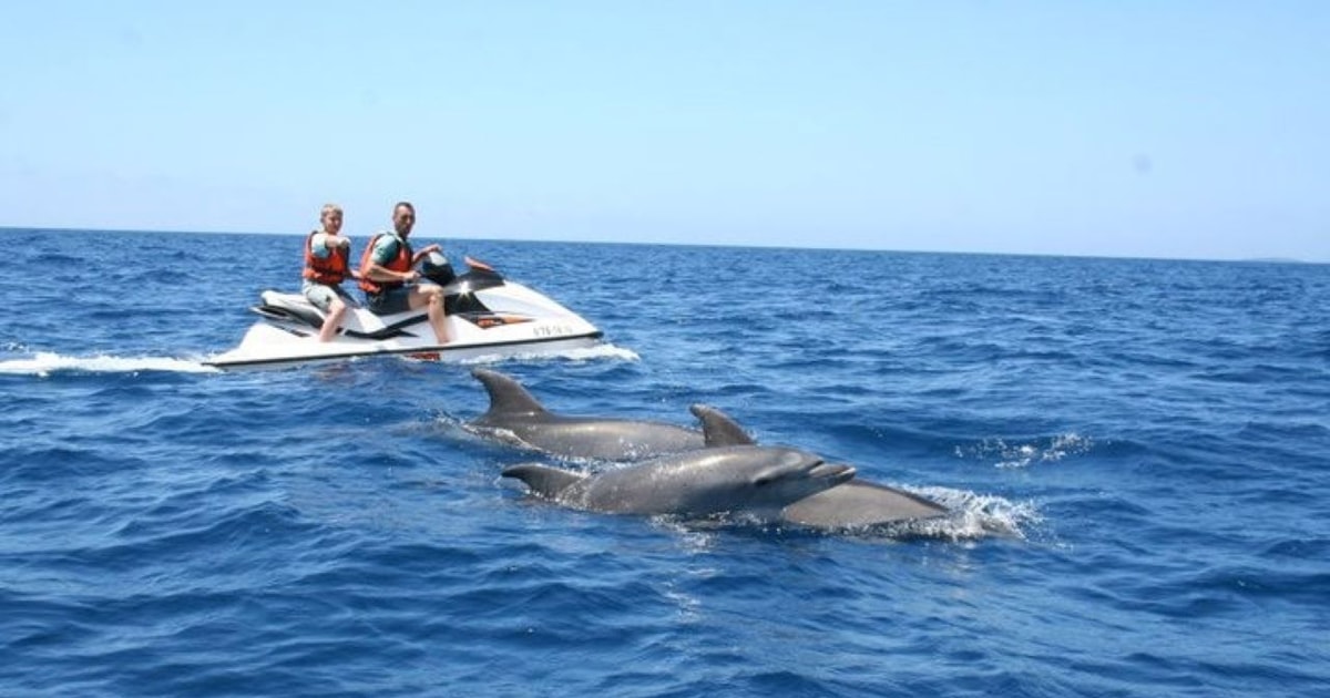 Fort Walton Beach Crab Island Dolphin JetSki Adventure GetYourGuide