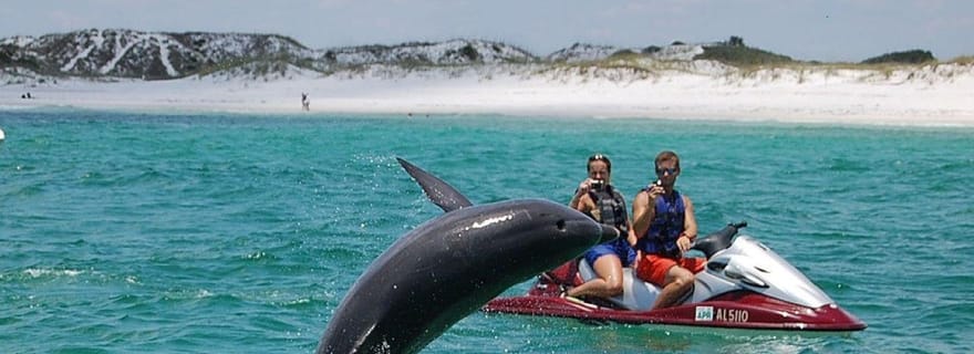 Destin : excursion en jet ski pour observer les dauphins de Crab Island