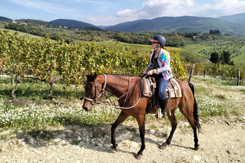 Florence: Horse ride 3h and Wine Tasting&Lunch at a castle