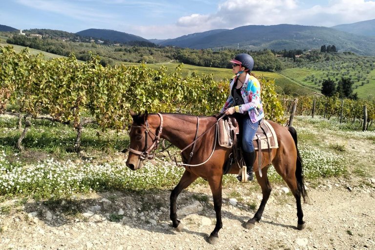 Florence: Horse ride 3h and Wine Tasting&Lunch at a castle