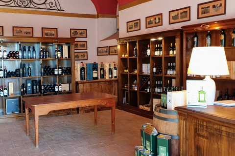 Florence: Horse ride 3h and Wine Tasting&Lunch at a castle