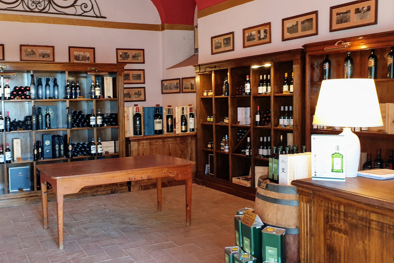Florence: Horse ride 3h and Wine Tasting&Lunch at a castle