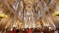 El Born, Basilica Santa María del Mar Tour & Terrasse Experie - Hizvo