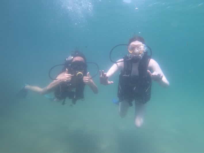 Panama City Beach Beginners Scuba Diving Tour GetYourGuide