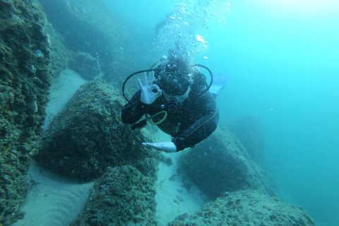 Playa de Ciudad de Panamá: Excursión de buceo para principiantes