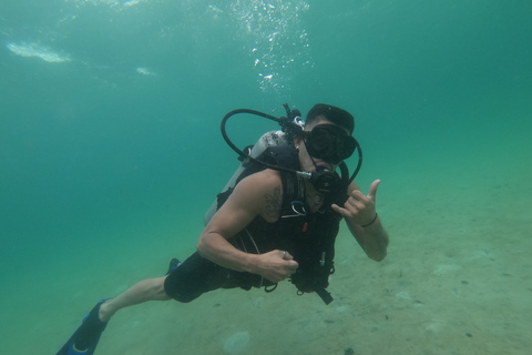 Playa de Ciudad de Panamá: Excursión de buceo para principiantes