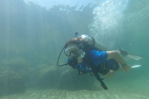 Panama City Beach: Wycieczka nurkowa dla początkującychPanama City Beach: wycieczka nurkowa dla początkujących