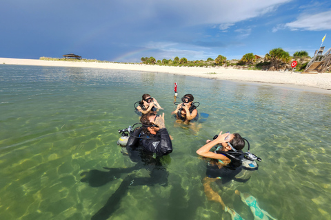 Praia da Cidade do Panamá: Excursão de mergulho para iniciantesPanama City Beach: Excursão de mergulho para iniciantes