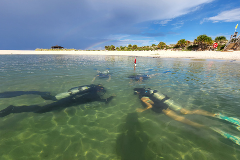 Playa de Ciudad de Panamá: Excursión de buceo para principiantes