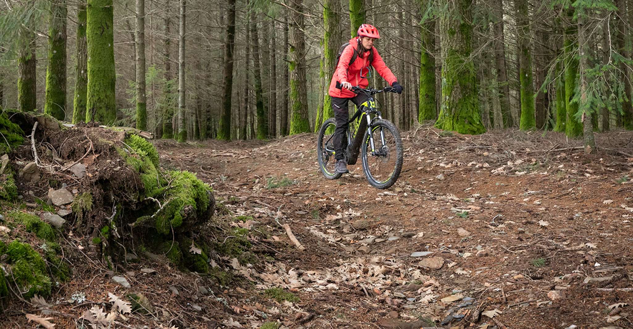 Serra da Estrela, Excursión privada en E-Bike con Observatorio - Hizvo
