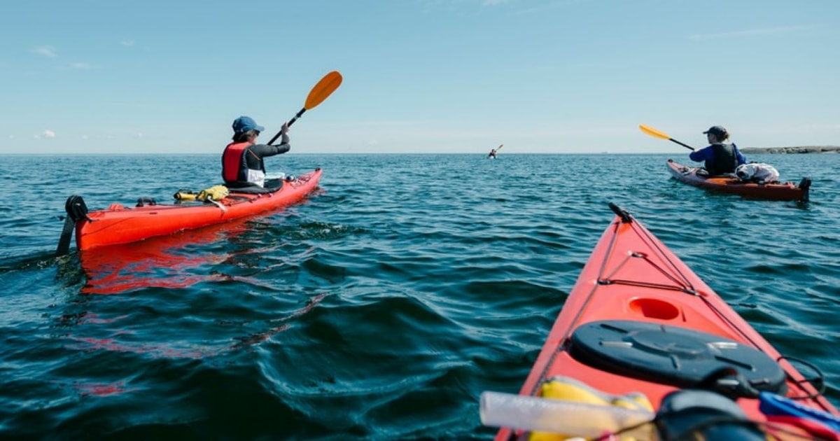 Destin Tandem Kayak Rental GetYourGuide