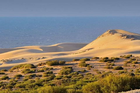 Agadir: Sous Massa Park Safari, Desert Jeep Tour, and Lunch