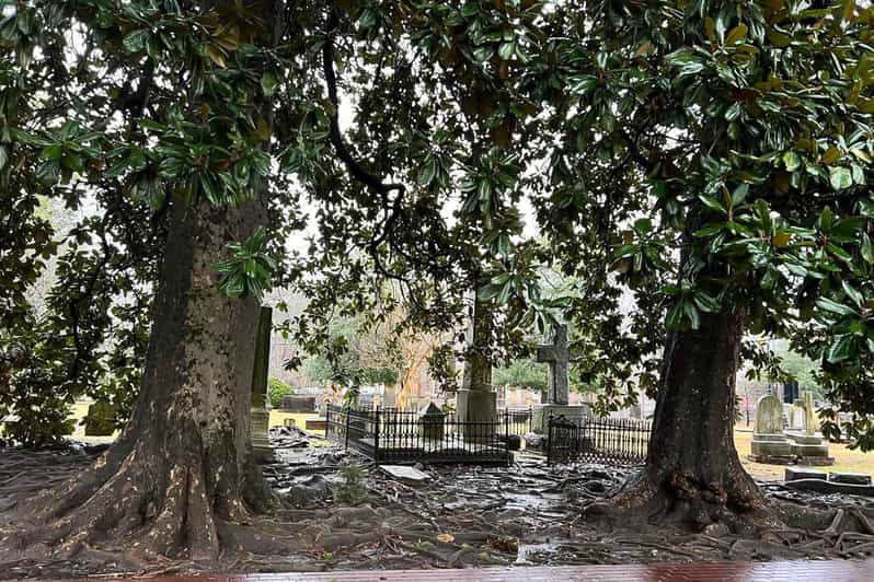 Colonial Williamsburg visita guiada a pie por la historia colonial