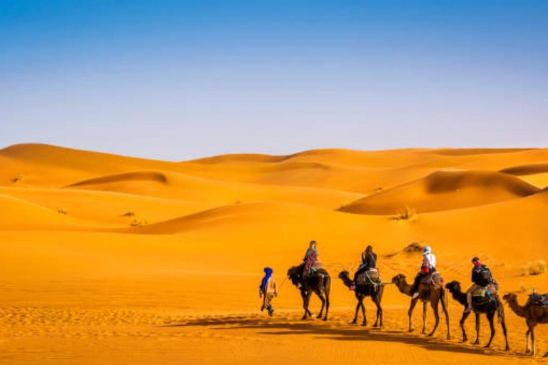 Marrakech: Merzouga 3-Day Desert Tour w/Quad &amp; Camel RidesFrom Marrakech: Merzouga 3-Day Desert