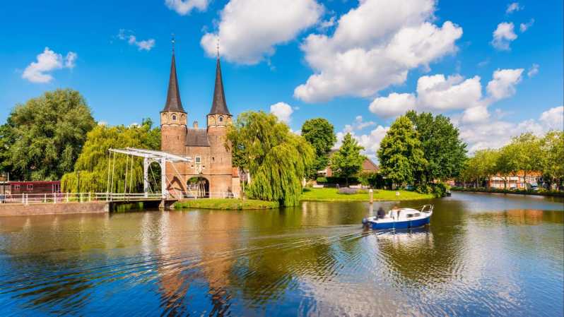 Амстердам: частная однодневная поездка в Киндердейк и Делфт с трансфером