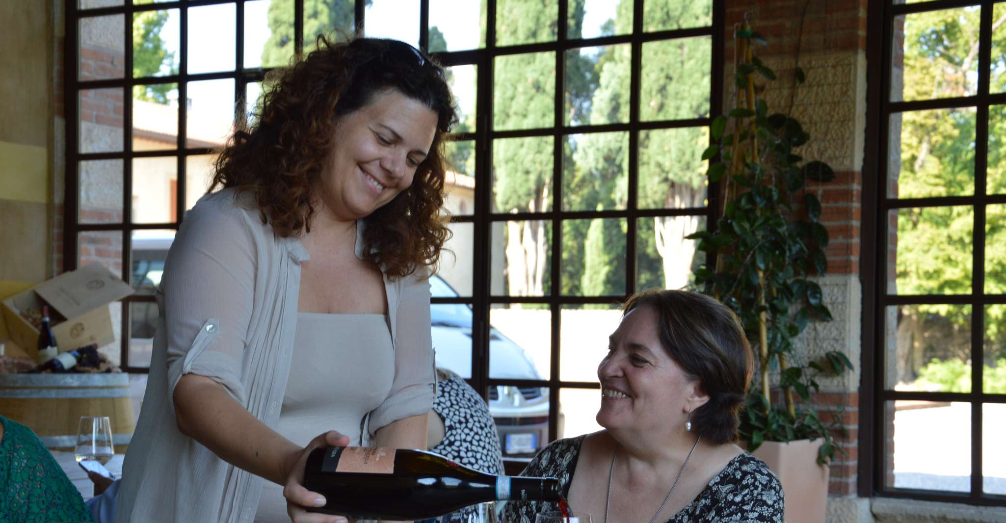 From Verona, Valpolicella Half-Day Small Group Wine Tour - Housity