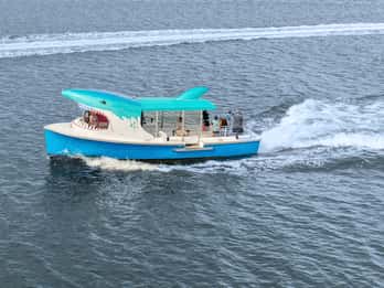 Madeira Beach: Sightseeing Cruise to John's Pass with Guide