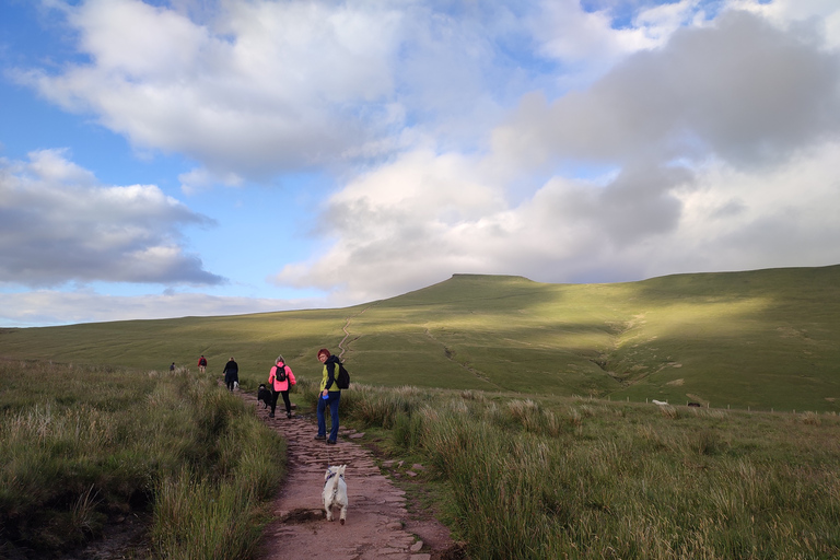 Privat Vandring: Pen y Fan Guidad solnedgångsvandring Brecon Beacons